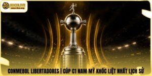 CONMEBOL Libertadores | Cúp C1 Nam Mỹ Khốc Liệt Nhất Lịch Sử
